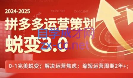 大力老师·2024拼多多运营策略蜕变3.0-轻资本网