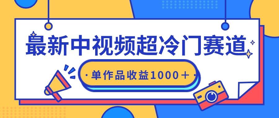 (9275期)最新中视频超冷门赛道，轻松过原创，单条视频收益1000＋-轻资本网