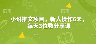 小说推文项目，新人操作6天，每天3位数分享课-轻资本网