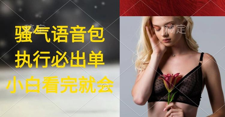 (9589期)执行就出单，日入2000+，超火骚气语音包，小白看完课程就能马上实操-轻资本网