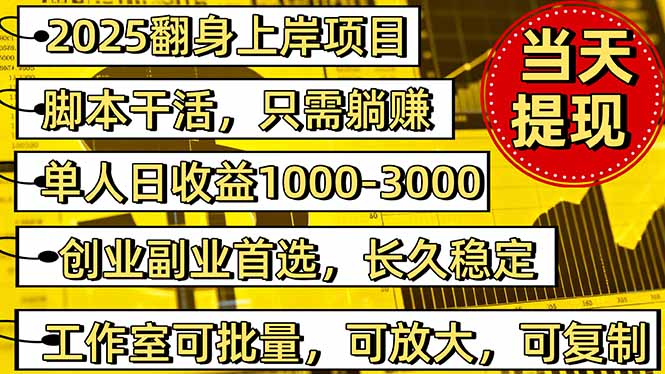 2025翻身上岸项目脚本干活，内部客户经理内部开号，单人日收益1000-300...-轻资本网