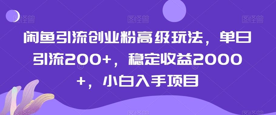 闲鱼引流创业粉高级玩法，单日引流200+，稳定收益2000+，小白入手项目-轻资本网