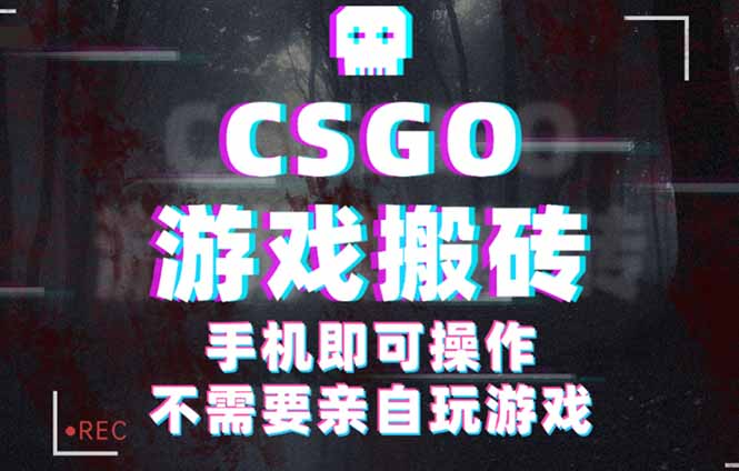 CSGO游戏挂机捡漏，单日扫货500+，年底小高峰上车可吃肉，手机即可操作...-轻资本网