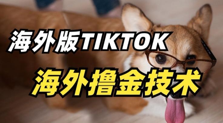 抖音海外版tiktok撸金技术，这个风口行业，赚钱真的不难【揭秘】-轻资本网