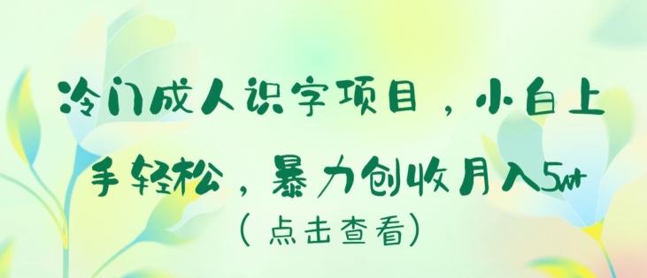 冷门成人识字项目，小白上手轻松，暴力创收月入5w+【揭秘】-轻资本网