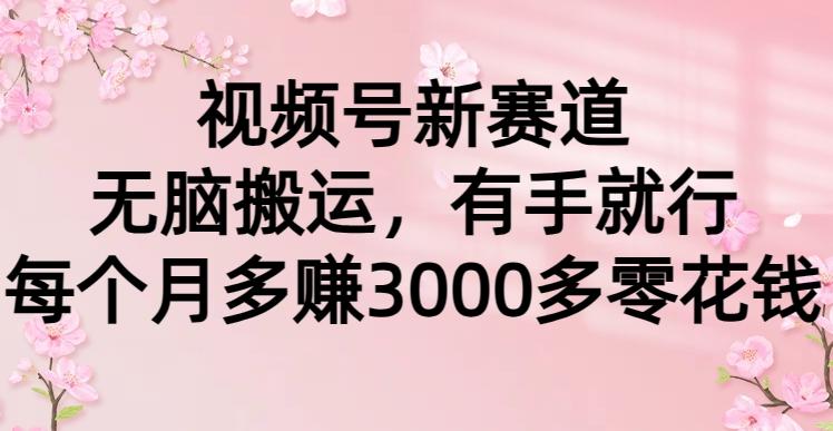 (9278期)视频号新赛道，无脑搬运，有手就行，每个月多赚3000多零花钱-轻资本网