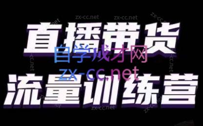 婉婉·直播带货课程系列合集(更新8月)-轻资本网