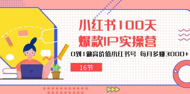 小红书100天-爆款IP实操营，0到1做高价值小红书号 每月多赚3000+(16节-轻资本网