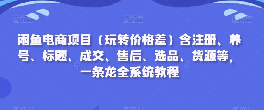 闲鱼电商项目(玩转价格差)含注册、养号、标题、成交、售后、选品、货源等，一条龙全系统教程-轻资本网