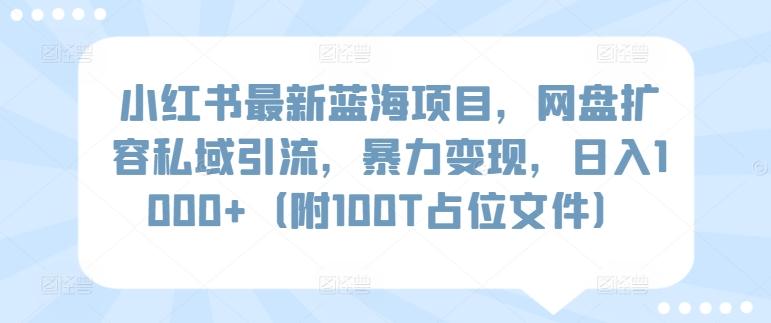 小红书最新蓝海项目，网盘扩容私域引流，暴力变现，日入1000+(附100T占位文件)【揭秘】-轻资本网