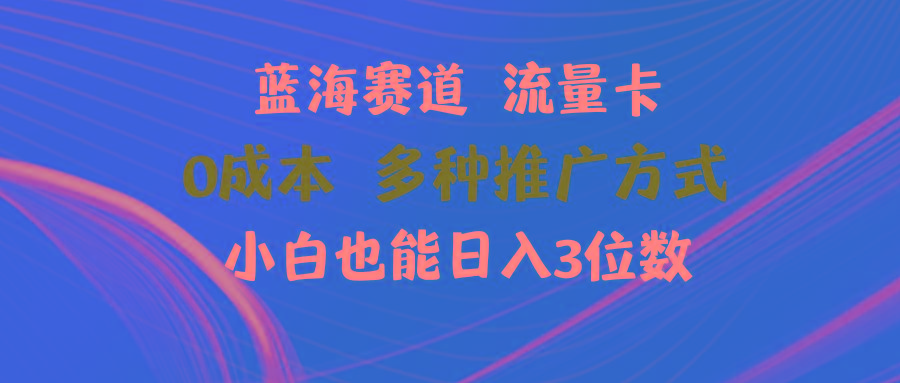 蓝海赛道 流量卡 0成本 小白也能日入三位数-轻资本网