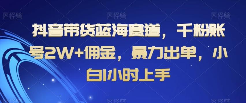 抖音带货蓝海赛道，千粉账号2W+佣金，暴力出单，小白1小时上手【揭秘】-轻资本网