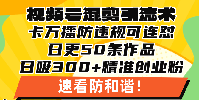 视频号混剪引流技术，500万播放引流17000创业粉，操作简单当天学会-轻资本网