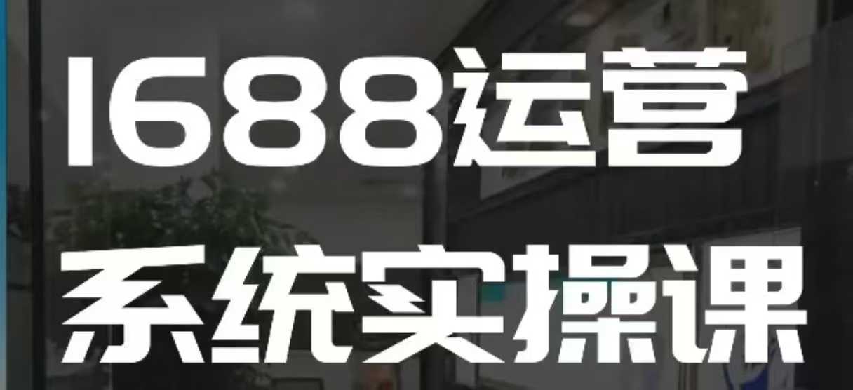 1688高阶运营系统实操课，快速掌握1688店铺运营的核心玩法-轻资本网