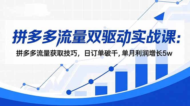 拼多多流量双驱动实战课：拼多多流量获取技巧，日订单破千,单月利润增长5w-轻资本网