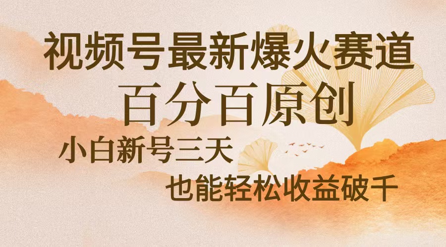 视频号最新爆火赛道，中老年粉深信不疑，百分百原创，新号三天收益轻松…-轻资本网