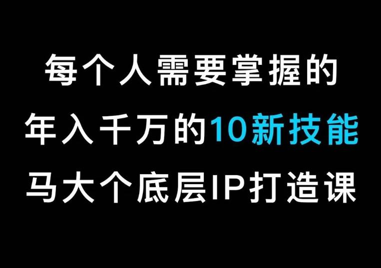 马大个的IP底层逻辑课，​每个人需要掌握的年入千万的10新技能，约会底层IP打造方法！-轻资本网