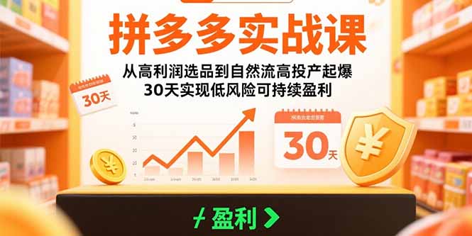 拼多多实战课：从高利润选品到自然流高投产起爆 30天实现低风险可持续盈利-轻资本网