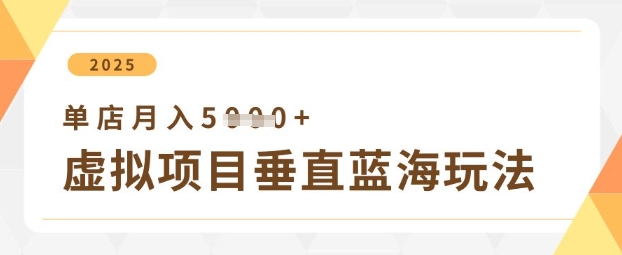 虚拟项目垂直玩法，实现单店月入5k+-轻资本网