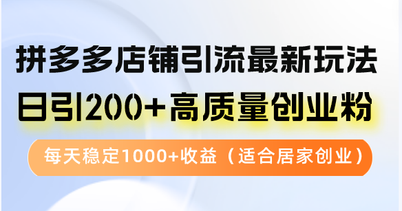 拼多多店铺引流最新玩法，日引200+高质量创业粉，每天稳定1000+收益(...-轻资本网