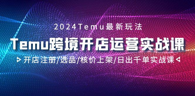 2024Temu跨境开店运营实战课，开店注册/选品/核价上架/日出千单实战课-轻资本网