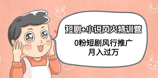 (9374期)短剧+小说风火特训营，0粉短剧风行推广，月入过万(102节课)-轻资本网