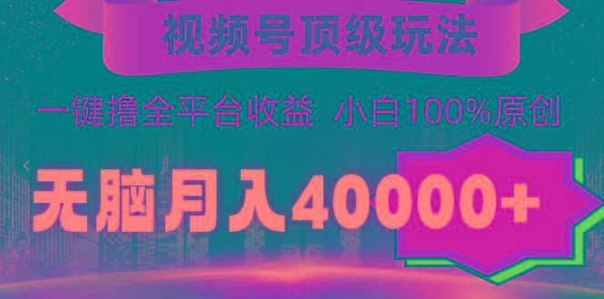 (9281期)视频号顶级玩法，无脑月入40000+，一键撸全平台收益，纯小白也能100%原创-轻资本网