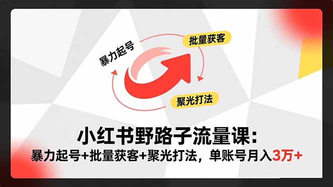 小红书野路子流量课：暴力起号+批量获客+聚光打法，单账号月入3万+-轻资本网