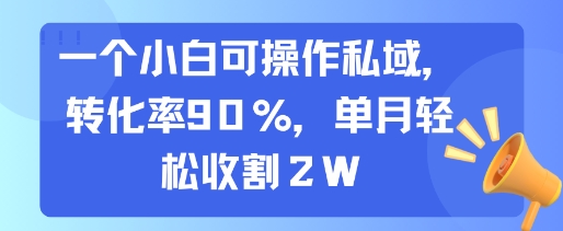 一个小白可操作私域，转化率90%，单月轻松收割2W-轻资本网