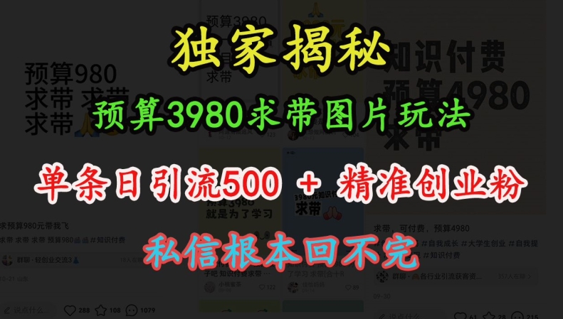 预算3980求带 图片玩法，单条日引流500+精准创业粉，私信根本回不完-轻资本网