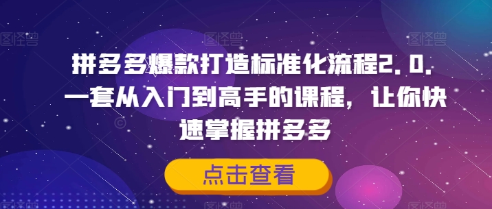 拼多多爆款打造标准化流程2.0，一套从入门到高手的课程，让你快速掌握拼多多-轻资本网