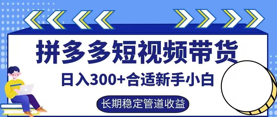 拼多多短视频带货日入300+有长期稳定被动收益，合适新手小白【揭秘】-轻资本网