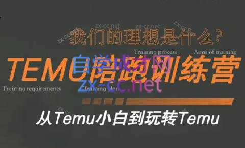 苗苗·拼多多跨境（temu）课程-轻资本网