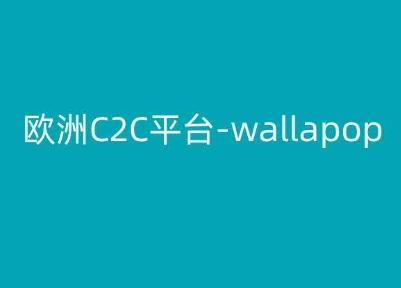 欧洲C2C平台-wallapop-kim跨境电商教程-轻资本网