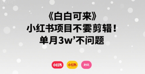 小白可来 小红书项目不需要剪辑 单月3w不是问题-轻资本网