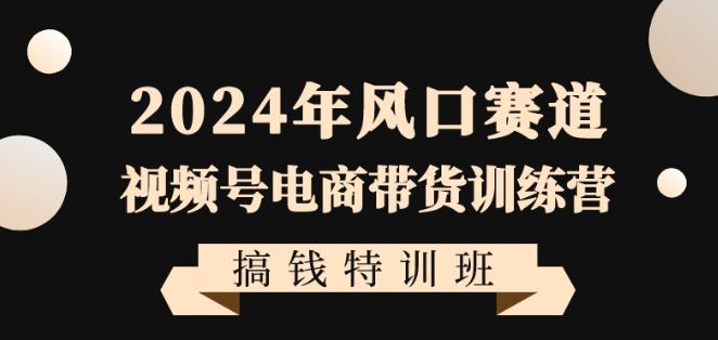 2024年风口赛道视频号电商带货训练营搞钱特训班，带领大家快速入局自媒体电商带货-轻资本网