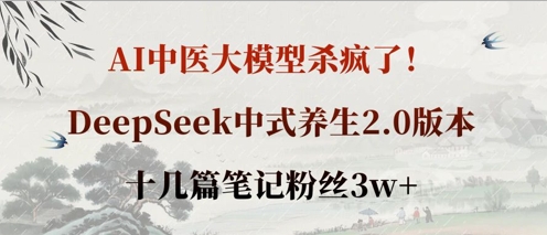 AI中医大模型杀疯了！DeepSeek中式养生2.0版本，十几篇笔记粉丝3w+-轻资本网