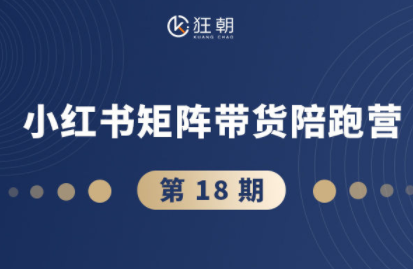 盗坤·抖音小红书视频号短视频带货与直播变现(11-18期)-轻资本网