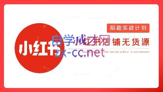 安琪·小红书店铺无货源-轻资本网