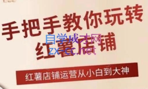 海燕老师·2024手把手教你玩转红薯店铺-轻资本网