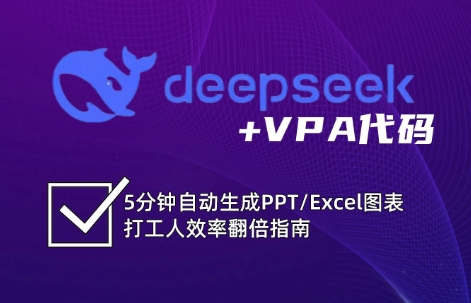 DeepSeek从入门到精通：解锁Excel和VBA高效办公新技能-轻资本网