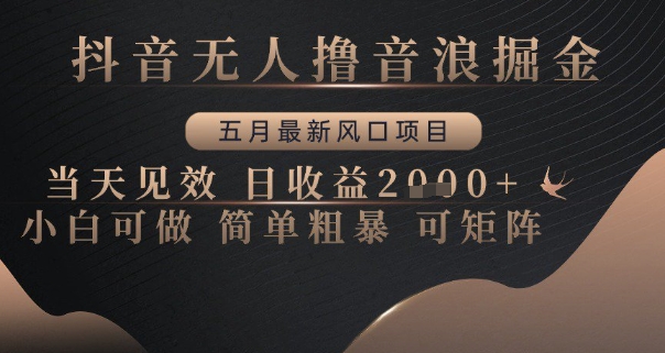 抖音无人撸音浪掘金，五月最新风口项目，当天见效，日收益多张，小白可做简单粗暴可矩阵【揭秘】-轻资本网