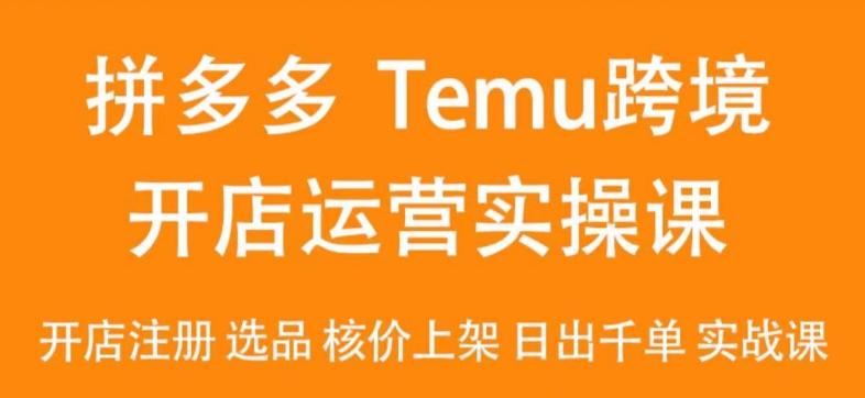 2024Temu最新玩法，Temu跨境开店运营实操课，开店注册/选品/核价上架/日出千单实战课-轻资本网