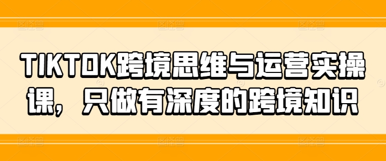 TIKTOK跨境思维与运营实操课，只做有深度的跨境知识-轻资本网