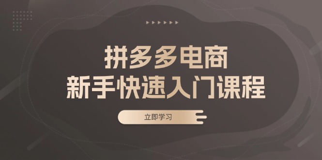 拼多多电商新手快速入门课程：涵盖基础、实战与选款，助力小白轻松上手-轻资本网