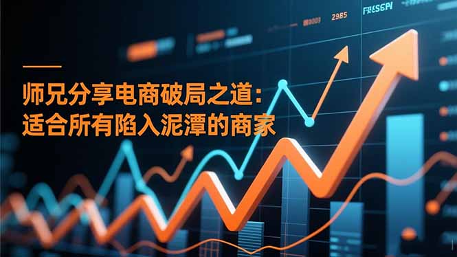 师兄分享电商破局之道：适合所有陷入泥潭的商家-轻资本网