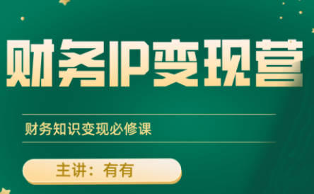 有有老师·财务IP变现营，财务知识变现必修课-轻资本网
