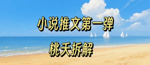 小说推文项目操作全流程第一弹，0粉就能做，门槛低非常适合新手-轻资本网