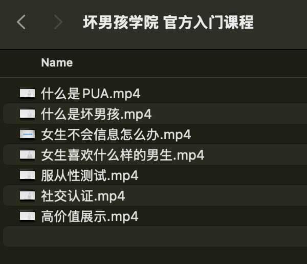 坏男孩学院 官方入门课程-轻资本网