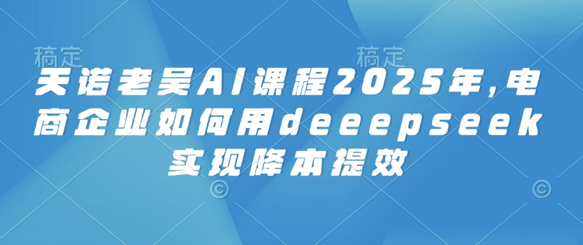 天诺老吴AI课程2025年,电商企业如何用deeepseek实现降本提效-轻资本网